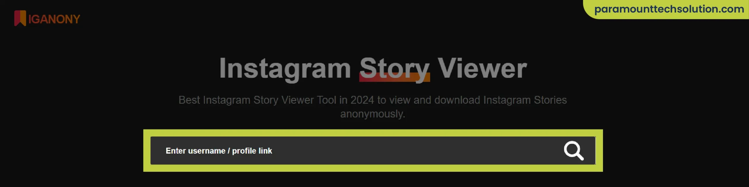 IgAnony Instagram Story Viewer