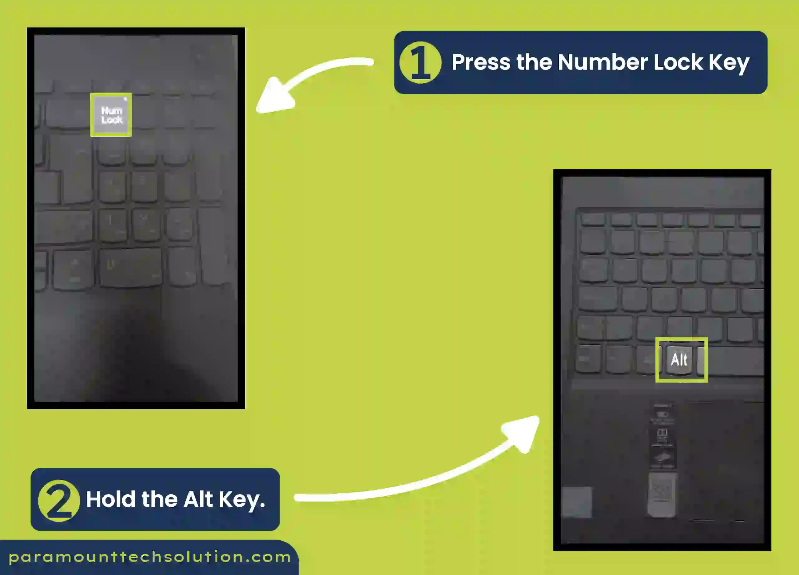 Press the number lock key and hold the alt key