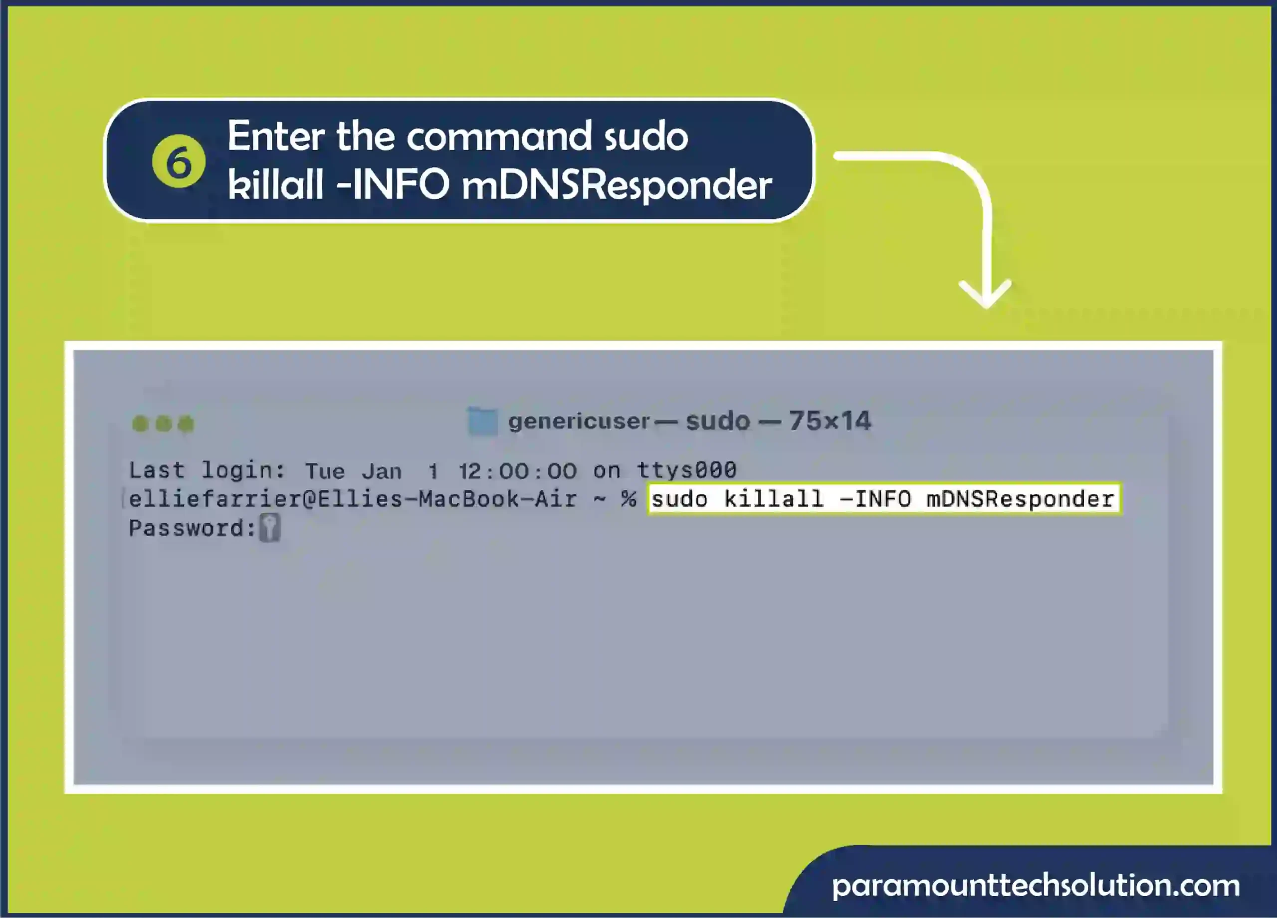 To check history incognito enter the sudo killall -INFO mDNSResponder and press enter.